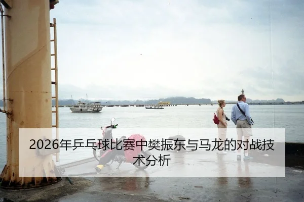 2026年乒乓球比赛中樊振东与马龙的对战技术分析 | 6686app