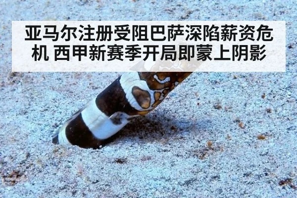 亚马尔注册受阻巴萨深陷薪资危机 西甲新赛季开局即蒙上阴影